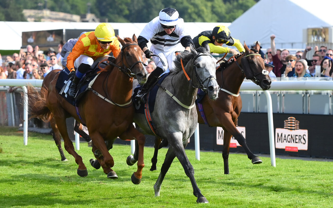 2023 Fixture Dates Announced Latest News Chester Racecourse