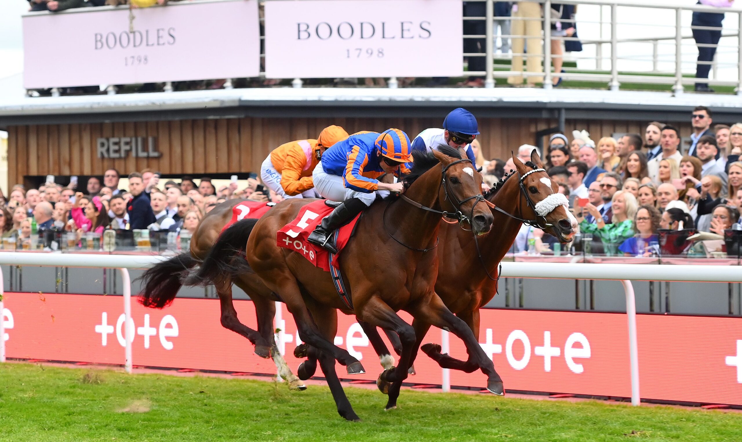 2023 Tote Chester Cup Attracts Most Entries In Decades thumbnail image