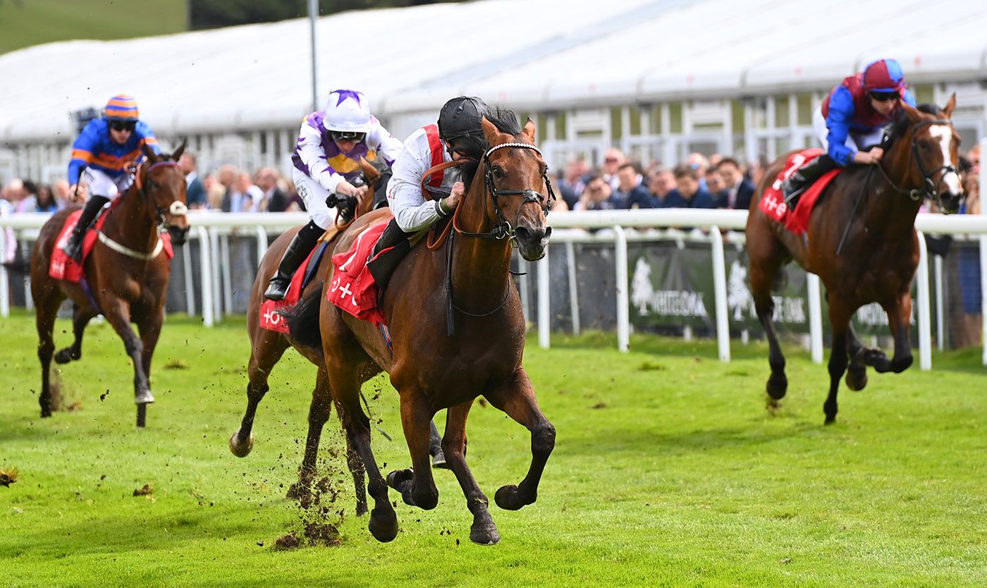 Hamish Makes It Back-To-Back Victories In The Ormonde Stakes thumbnail image