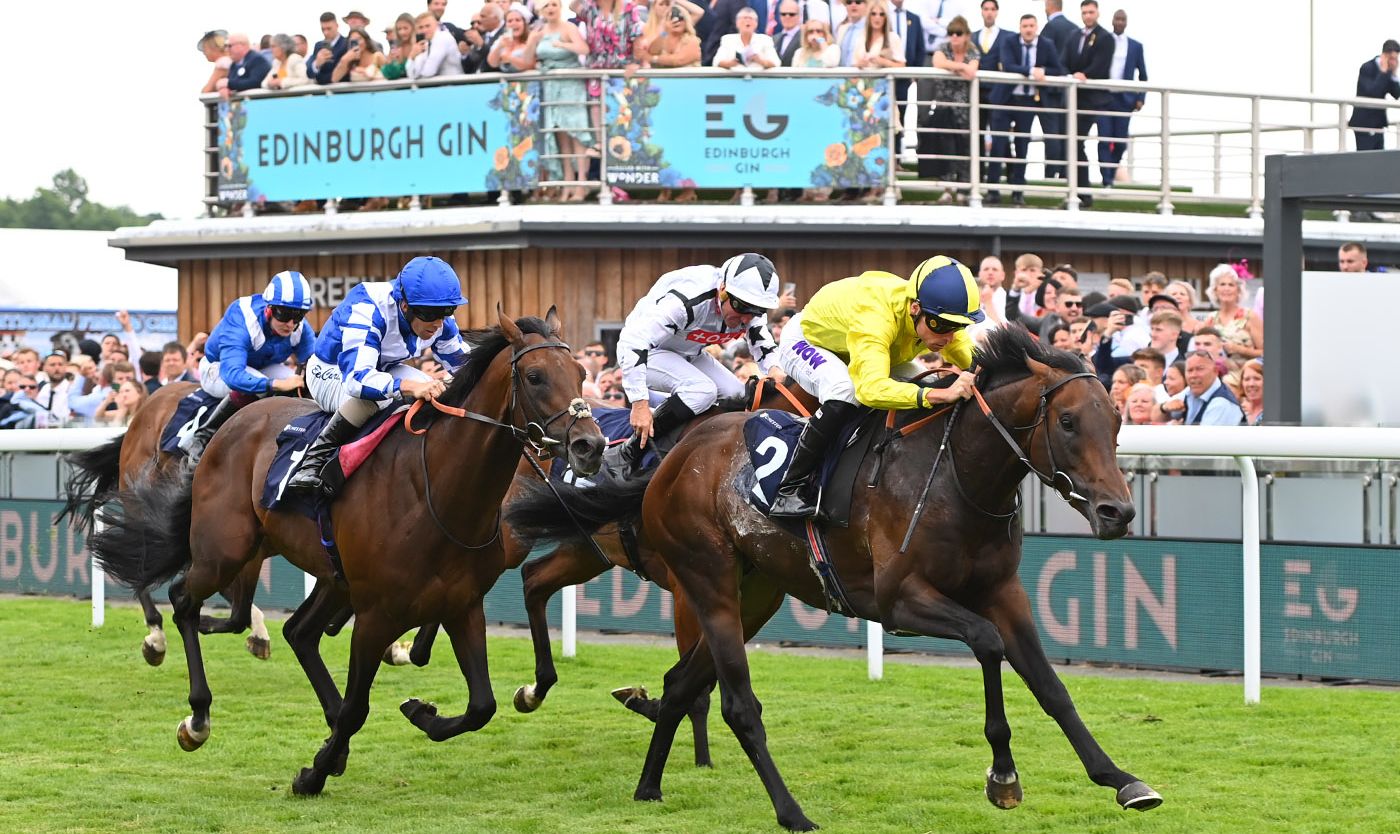 Saxon King Wins Feature Race of Edinburgh Gin Summer Saturday thumbnail image