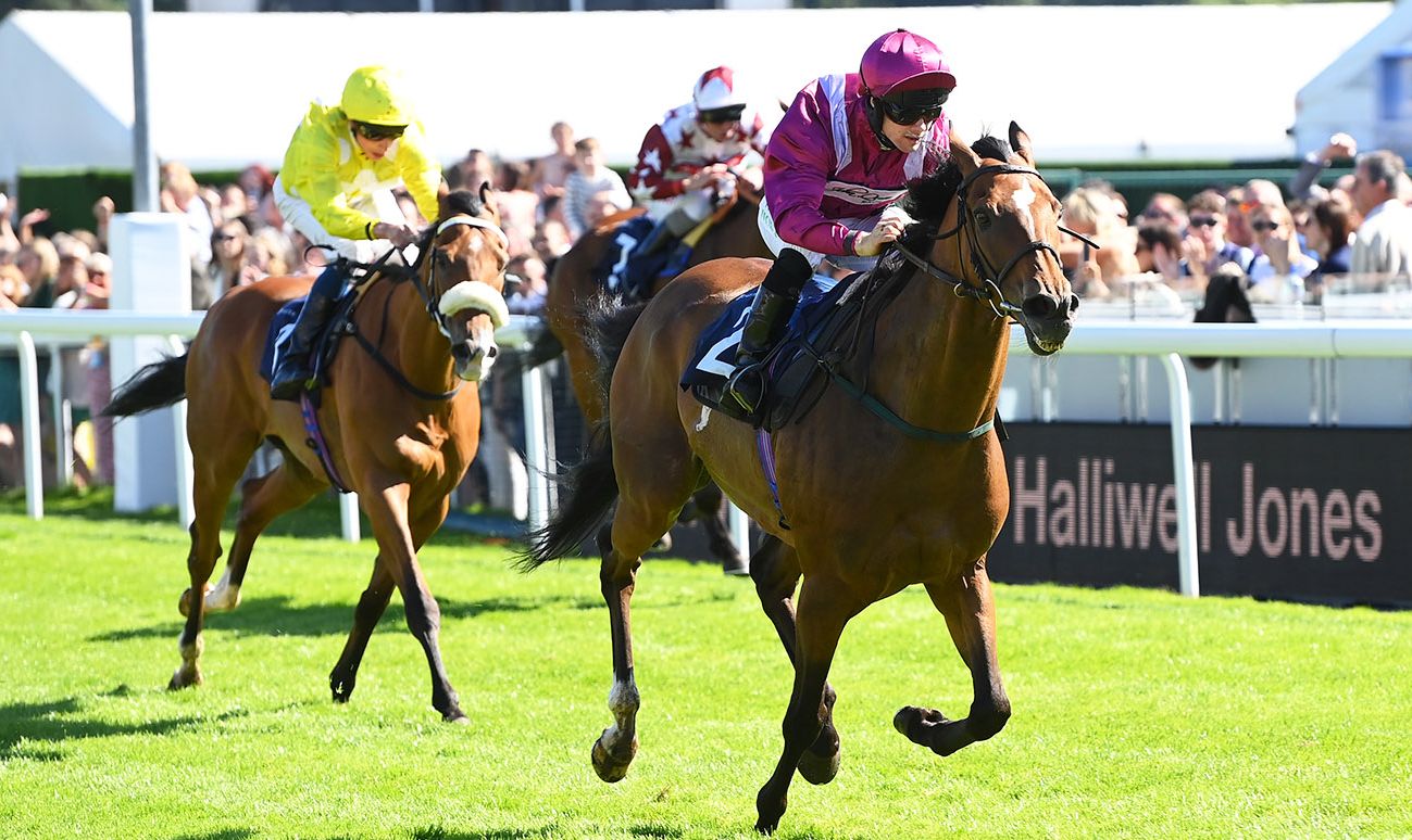 Jason Hart Rides a Double at Fun-Filled Family Day thumbnail image