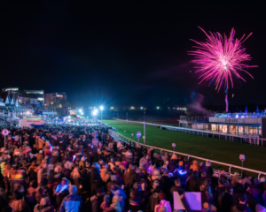 fireworks display in chester