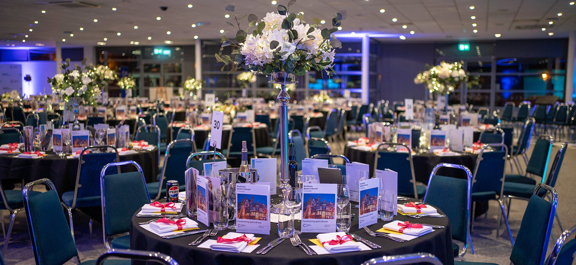 https://www.chester-races.com/venue-hire/the-pavillion-suite/ thumbnail image