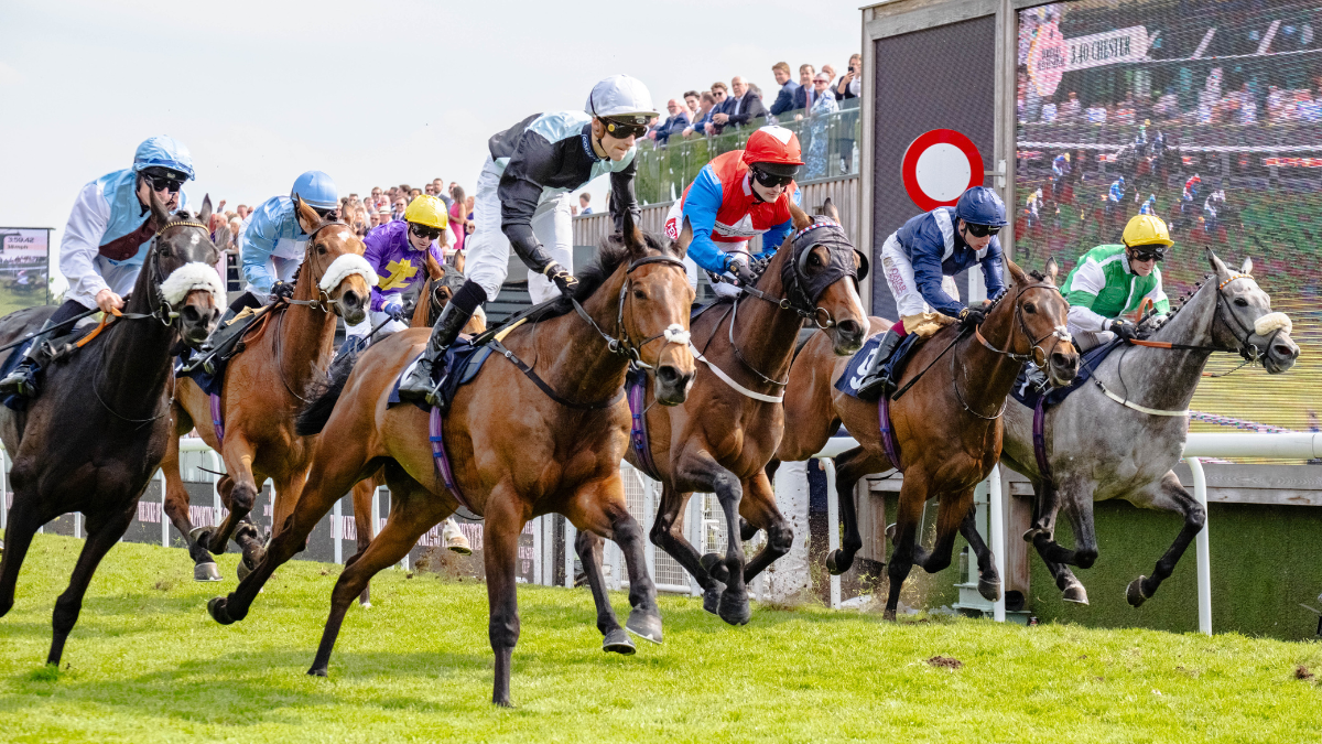 NOTABLE NAMES, IN BOTH QUALITY AND QUANTITY,  ENTERED IN THE CHESTER CUP thumbnail image
