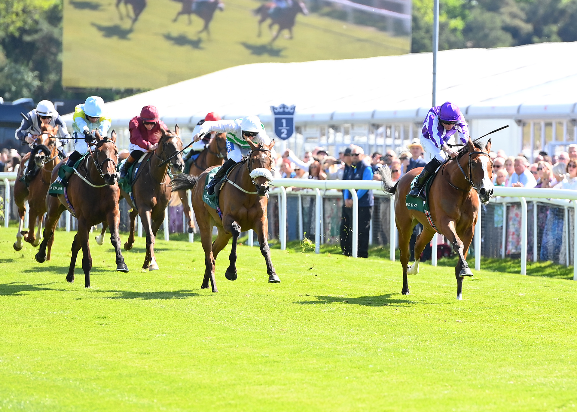 https://www.chester-races.com/racing-reports/boodles-may-festival-trials-day-2025/ thumbnail image