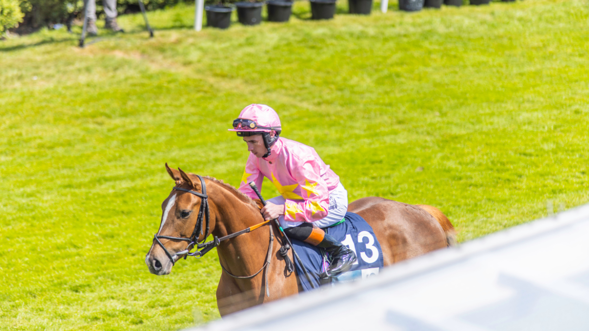 EQUINE WELFARE TO THE FORE AT CHESTER RACECOURSE thumbnail image