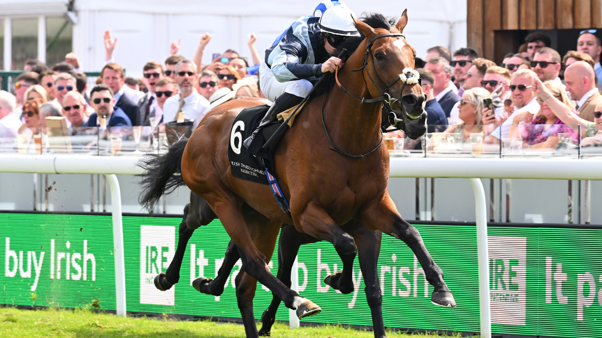 PALMER EXCITED ABOUT ZOFFEE’S RETURN TO LADBROKES CHESTER CUP thumbnail image