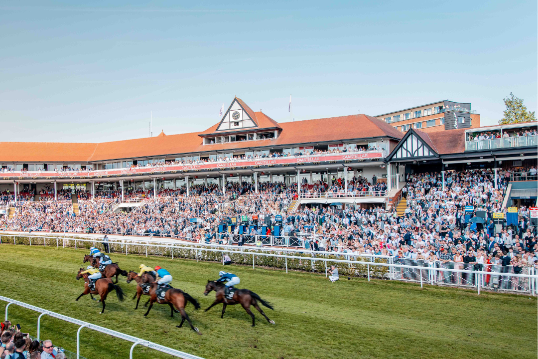 https://www.chester-races.com/tickets-and-packages/county-concourse/ thumbnail image