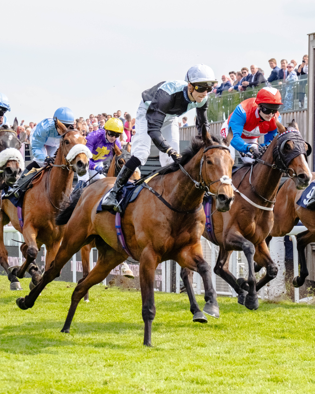 Racecard Image