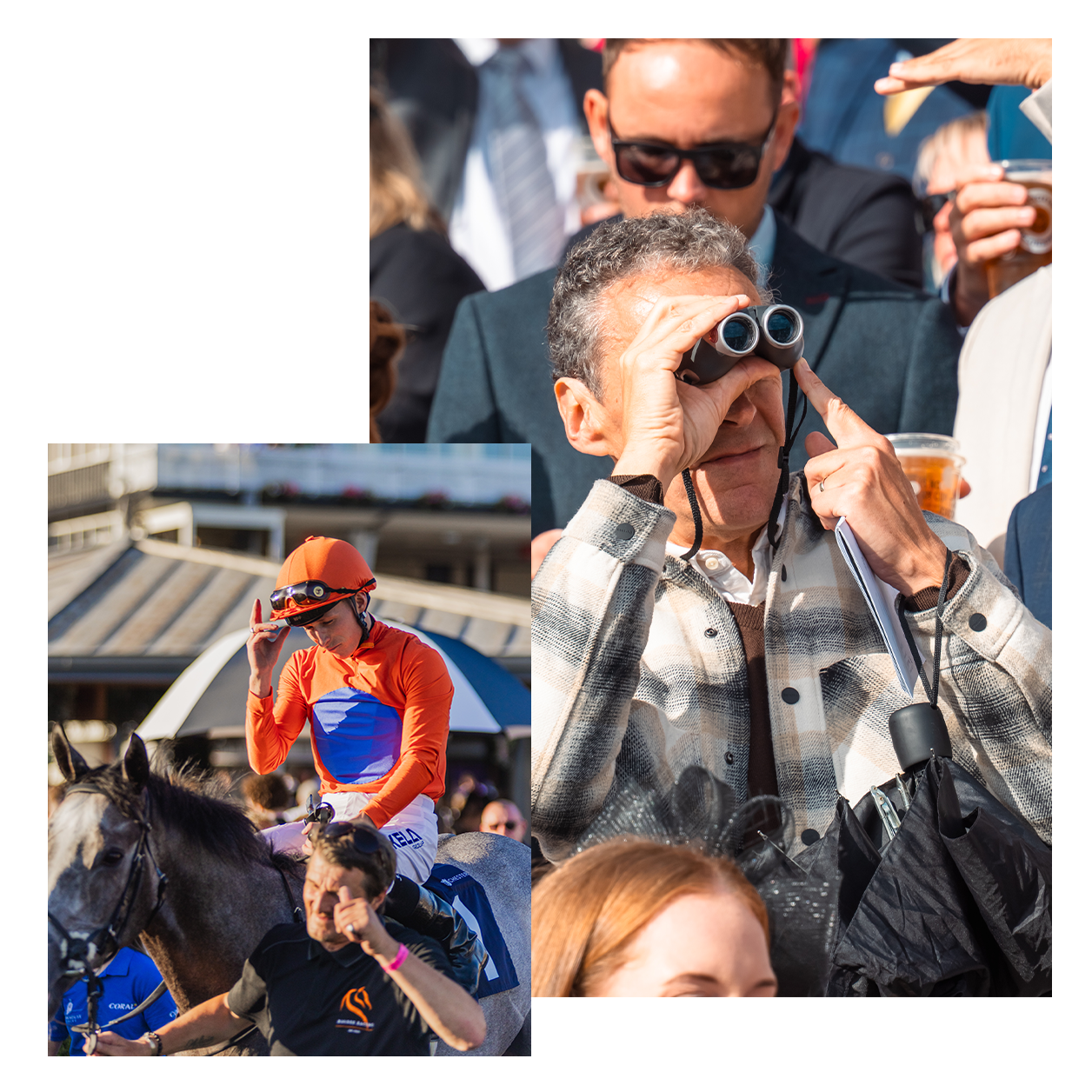 Autumn Saturday Overlap Graphic