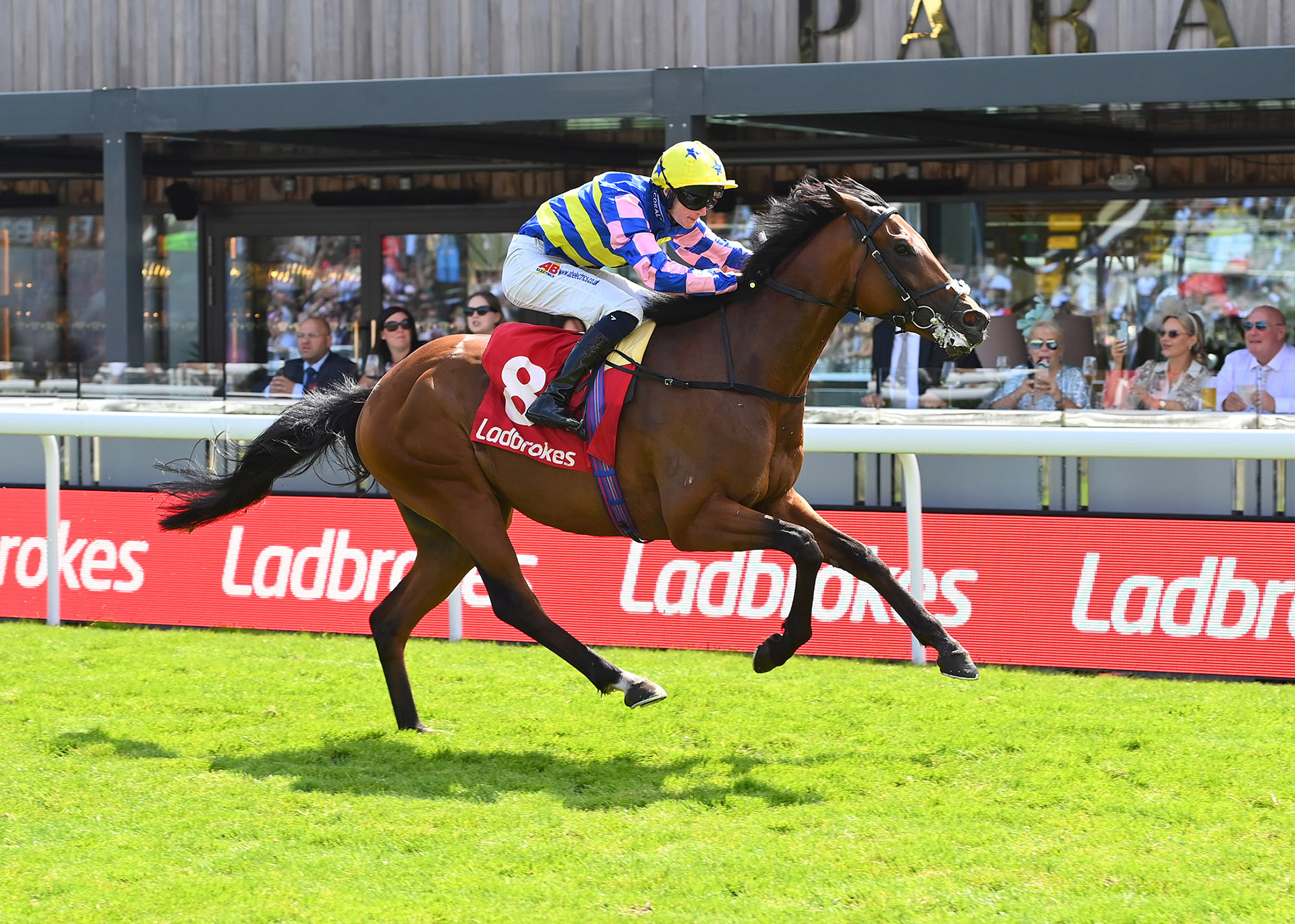 https://www.chester-races.com/racing-reports/the-saturday-social-2025/ thumbnail image