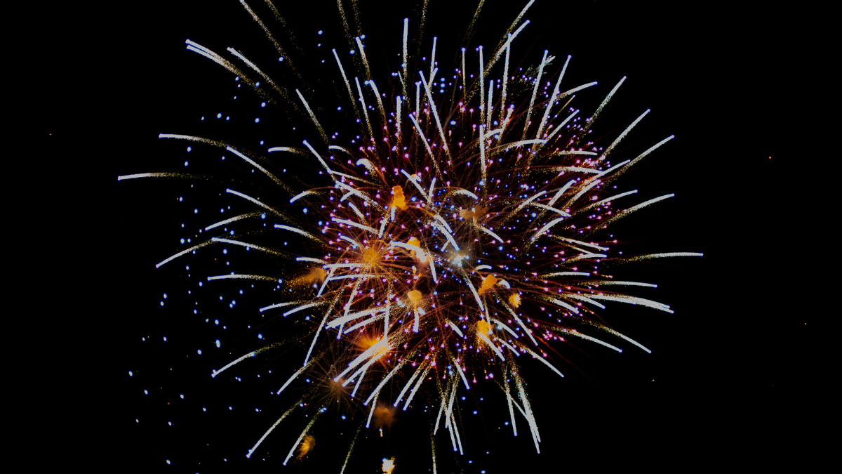 https://www.chester-races.com/the-lord-mayors-fireworks-extravaganza-returns-to-chester-racecourse-on-saturday-8-november/ thumbnail image