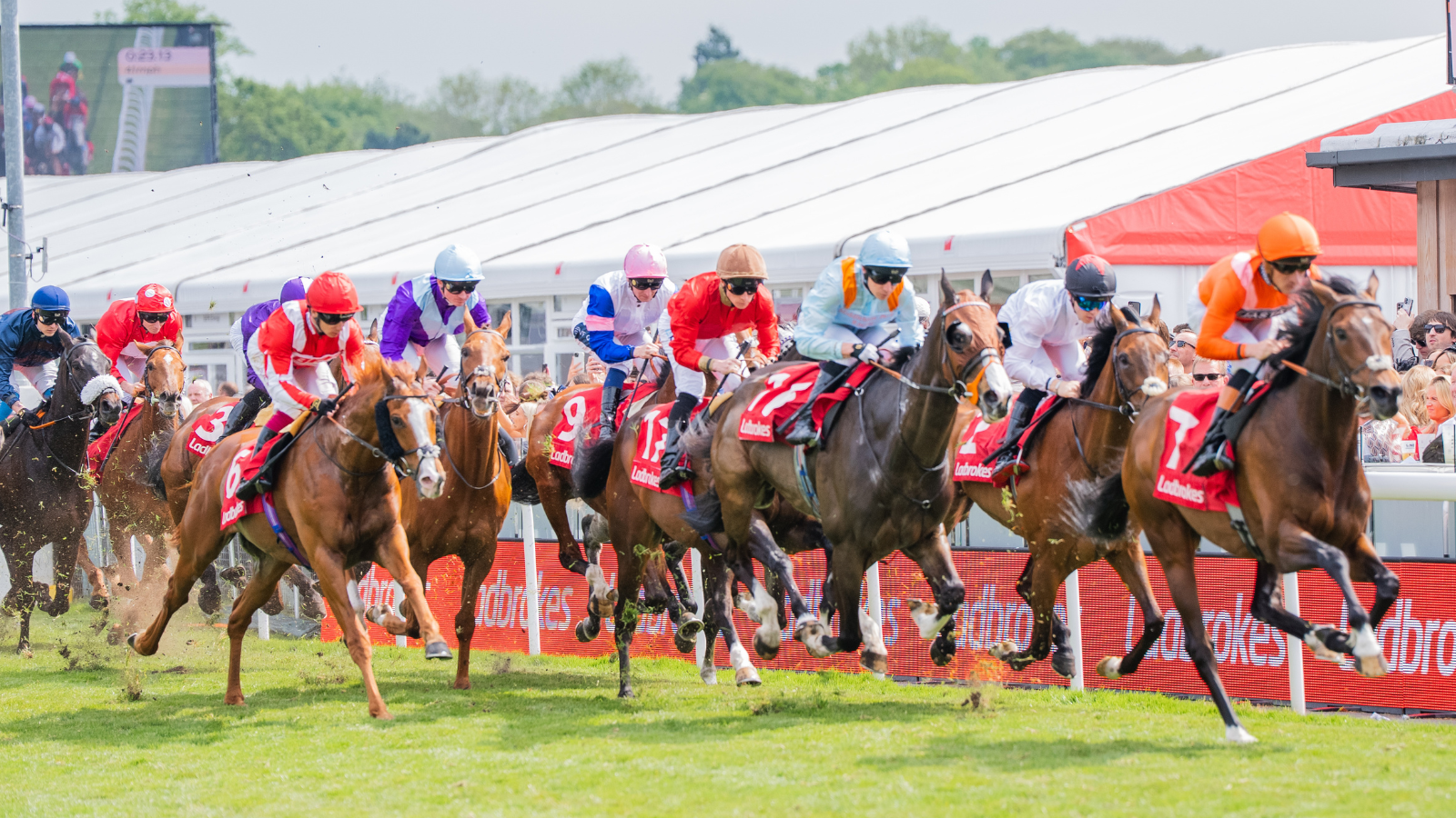 https://www.chester-races.com/whats-on/the-saturday-social/ thumbnail image