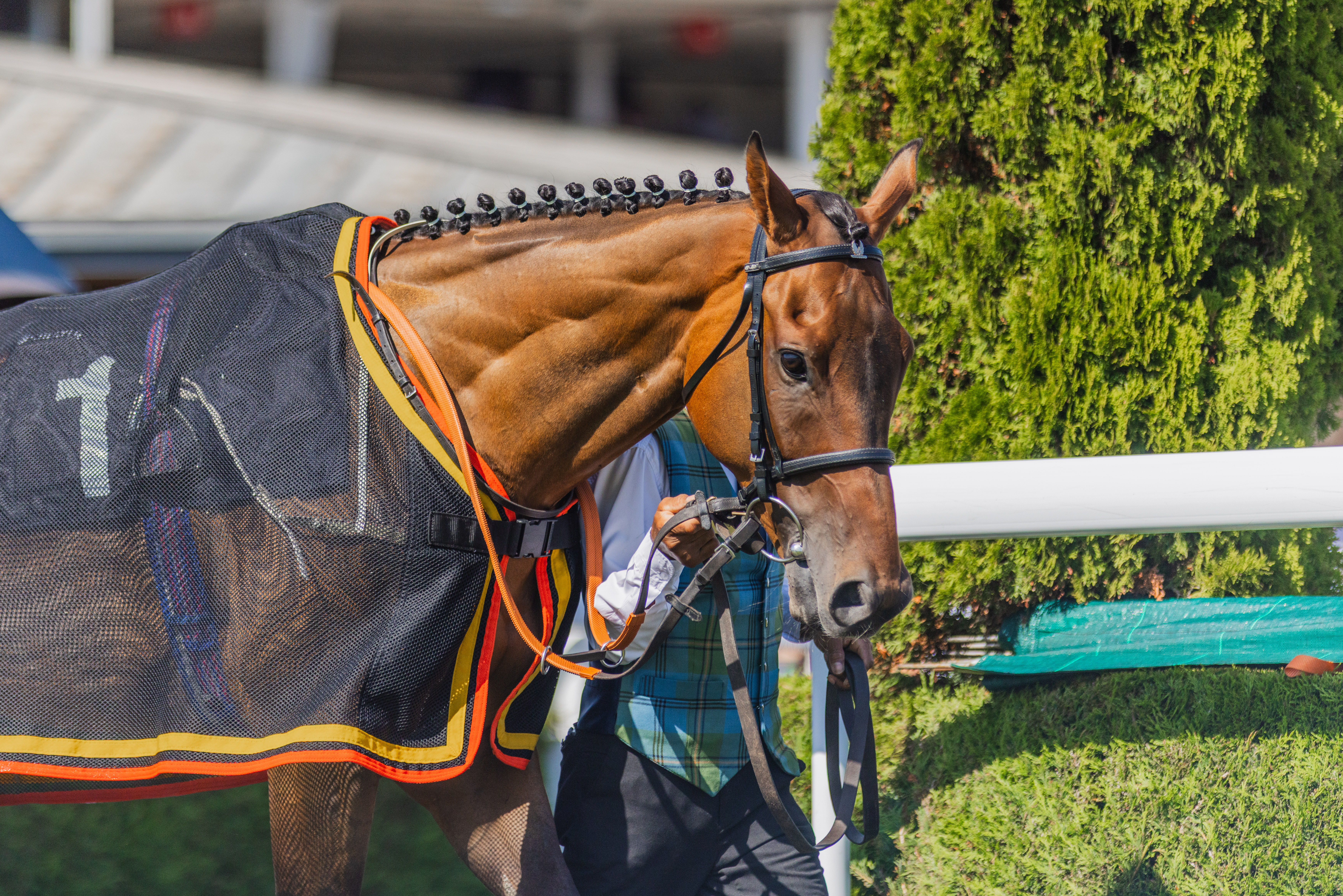 Music Weekend Saturday