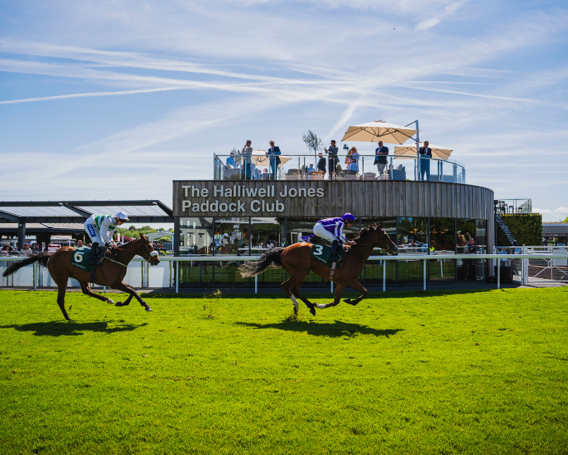 Halliwell Jones Paddock Club