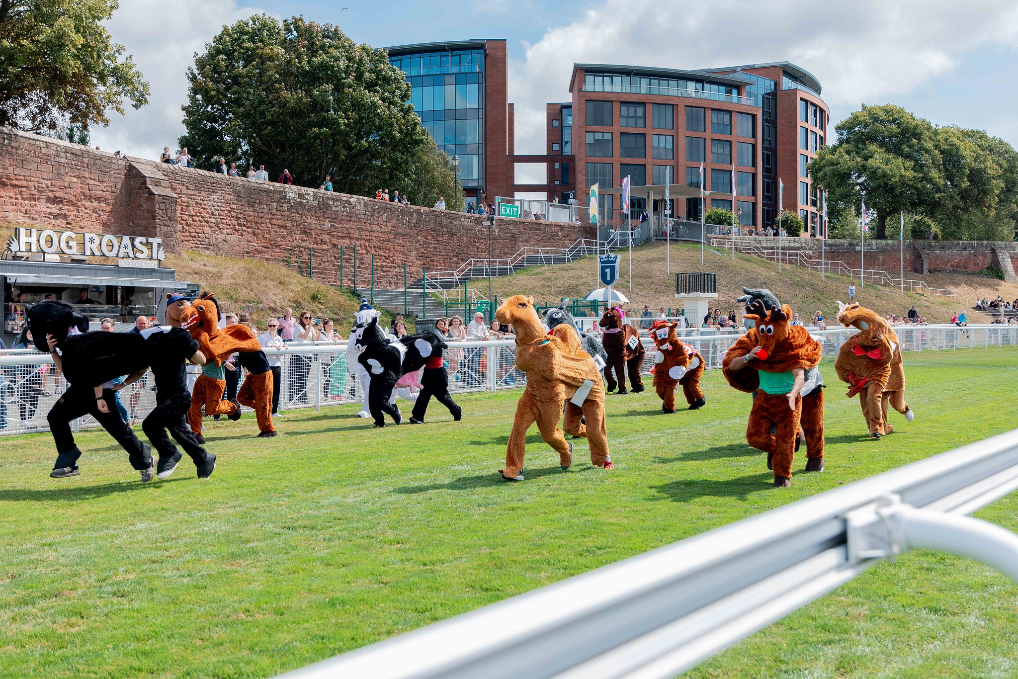 https://www.chester-races.com/chester-racecourse-and-cheshire-charity-call-on-local-businesses-to-join-pantomine-horse-race/ thumbnail image