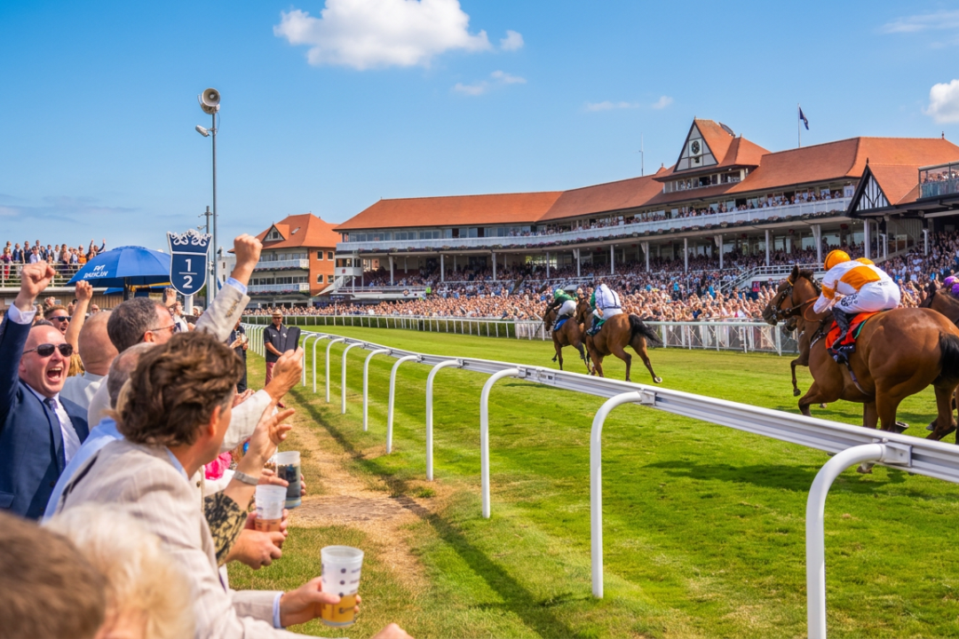 https://www.chester-races.com/tickets-and-packages/tattersalls/ thumbnail image
