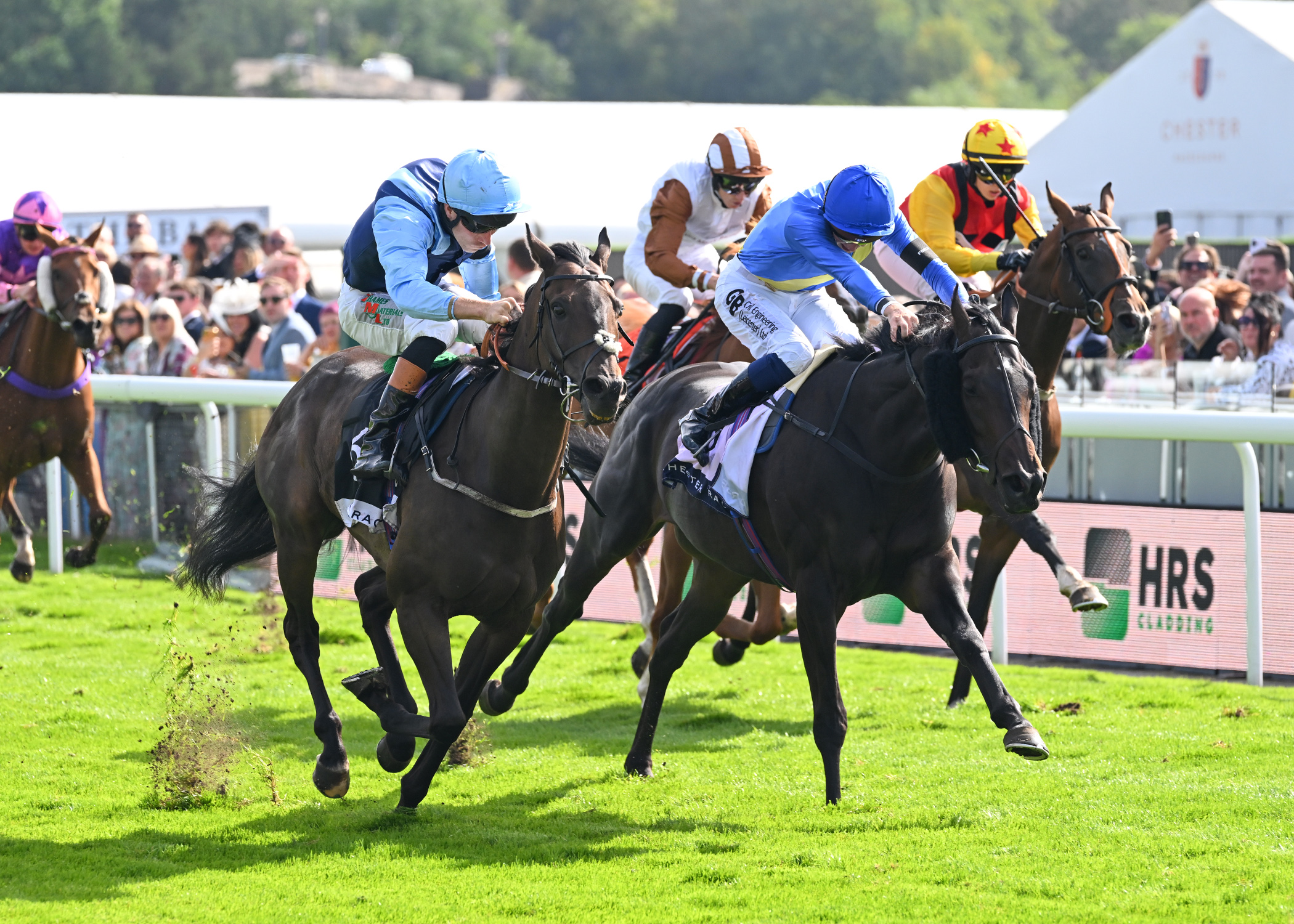 https://www.chester-races.com/racing-reports/the-virgin-bet-autumn-festival-friday/ thumbnail image