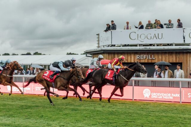 Have you got your tickets yet? The countdown is on to the Clogau City Plate Day, which is just 1 week away!

There's still tickets and hospitality available - book now via the link in our bio 👆