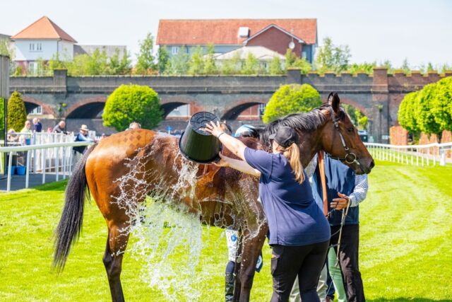 Keeping the reins tight on horse welfare at Chester - even when the heat is on! 

Check out our cool snapshots from Boodles May Festival. 🌞🏇