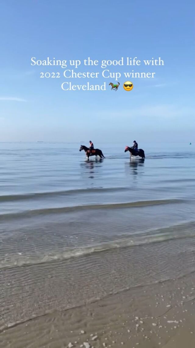 Let’s give a round of applause for Cleveland🏇
 
Our 2022 Chester Cup winner.🏆
 
Plus, who could forget his triumph in the Moonee Valley Gold Cup in Melbourne last October, he’s now kicking it down under with @lees_racing! 
 
It’s awesome to see him soaking up the good life, especially during beach days. 🏖️☀️
 
#ClevelandRocks #KrisLeesRacing #ChesterCup200