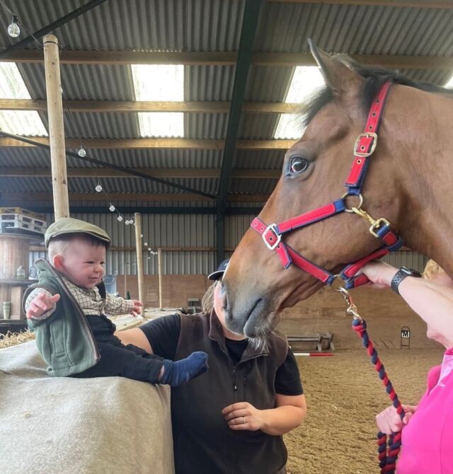 Trip to Paris - 2015  Chester Cup Winner🏆

After retiring in 2017, Julie White, who once owned a share of him, took the reins. Since 2019, he's been strutting his stuff in British Dressage as part of the @retraining_of_racehorses scheme.🐴

Cheers to Trip to Paris, our Chester Cup champ.🥂

Give him a like if you remember his fantastic win!