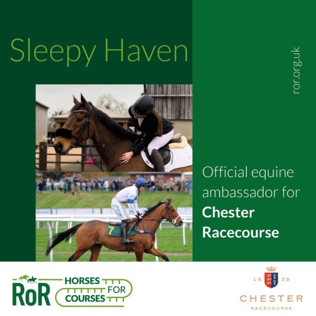 We've got some hoof-tastic news to share🐴

Meet our ROR (Retraining of Racehorses) Ambassador... Sleepy Haven, also known as 'Noddy'!

With 66 races under his belt, Noddy boasts 5 wins, 10 seconds, and 12 thirds. One of those wins was at our sister track, Bangor-on-Dee🏆

Plus, he's earned over £70k in prize money!💰

Noddy will be joining us this Saturday at Roman Day in partnership with Via Roma✨

Find him on our Open Course and be sure to say hello🏇