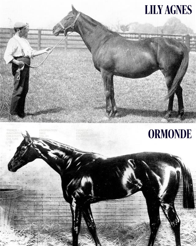 Lily Agnes & Ormonde – Chester Legends🏇

Chester is proud to be part of the legacy of Lily Agnes, a superstar mare who won 21 races and is remembered today in the Lily Agnes Conditions Stakes, opening our May Festival.

Her son, Ormonde, bred in Cheshire, was unbeaten and won the Triple Crown in 1886 – the same year he lit up the Roodee. The Ormonde Stakes, now a Group 3 race, was later named in his honour.

Two greats. One legendary link to Chester.🐎